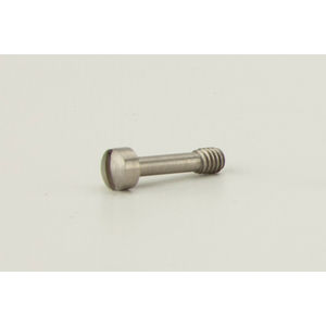 Captive Screw