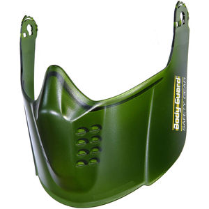 Face Shield System Visor