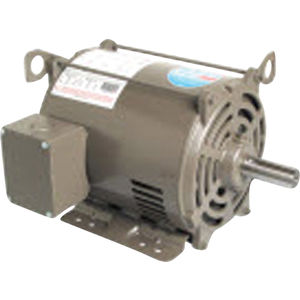 Three Phase Motor