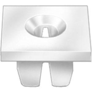 License Plate Nuts License Plate Nuts