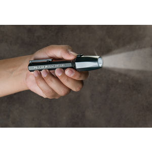 Intrinsically Safe Flashlight