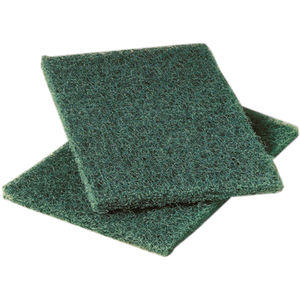 Cleaning Pad