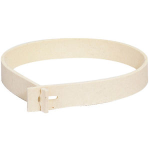 Abrasive Belt