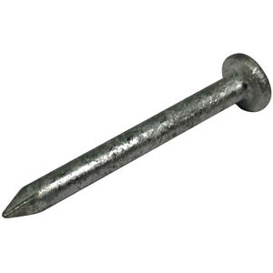 Joist Hanger Nail