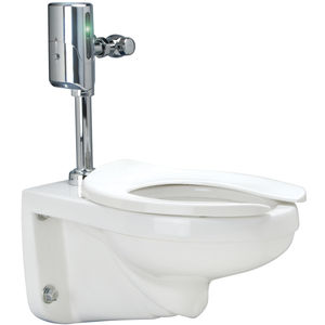 1.28 GPF WaterSense Wall Hung Toilet with Bedpan Lugs and Hydro ...